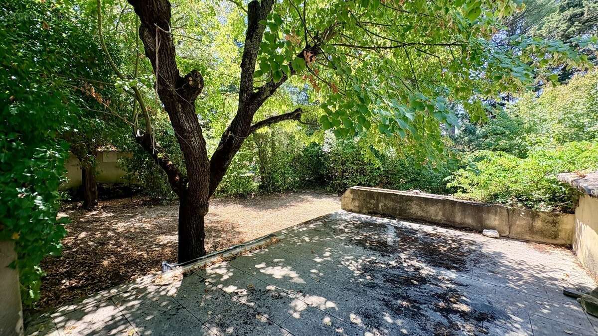 Maison de caratère avec grand jardin entre Carpentras et St Didier - photo 7