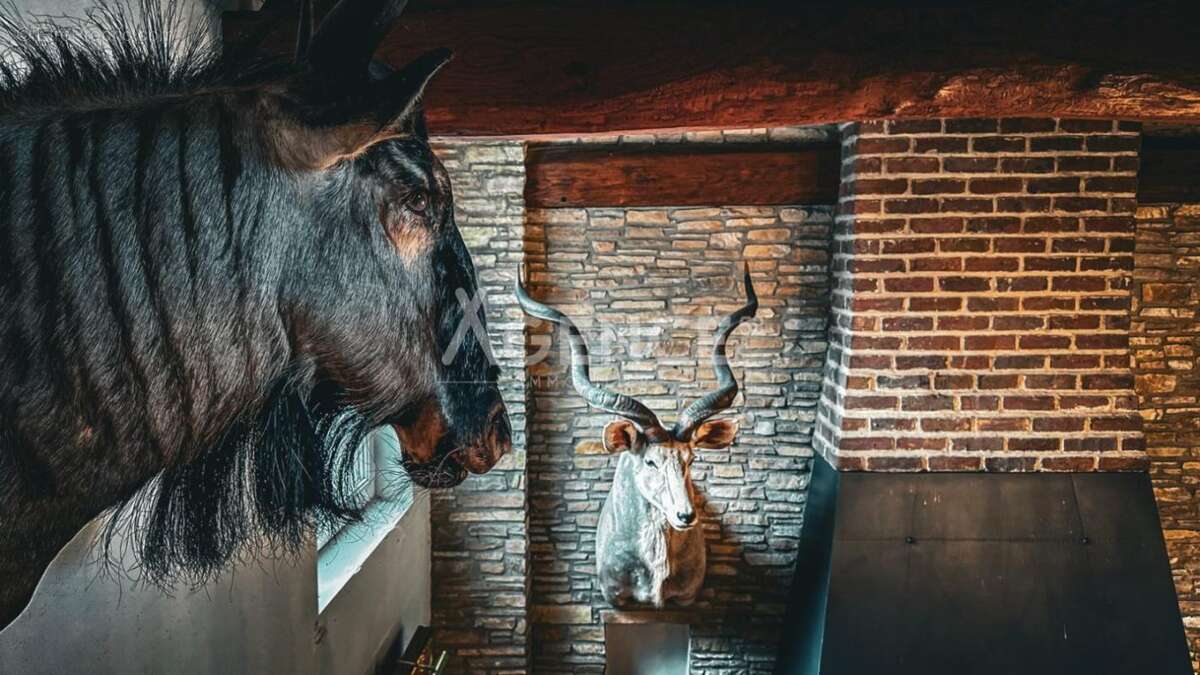 Maison à FAUQUEMBERGUES