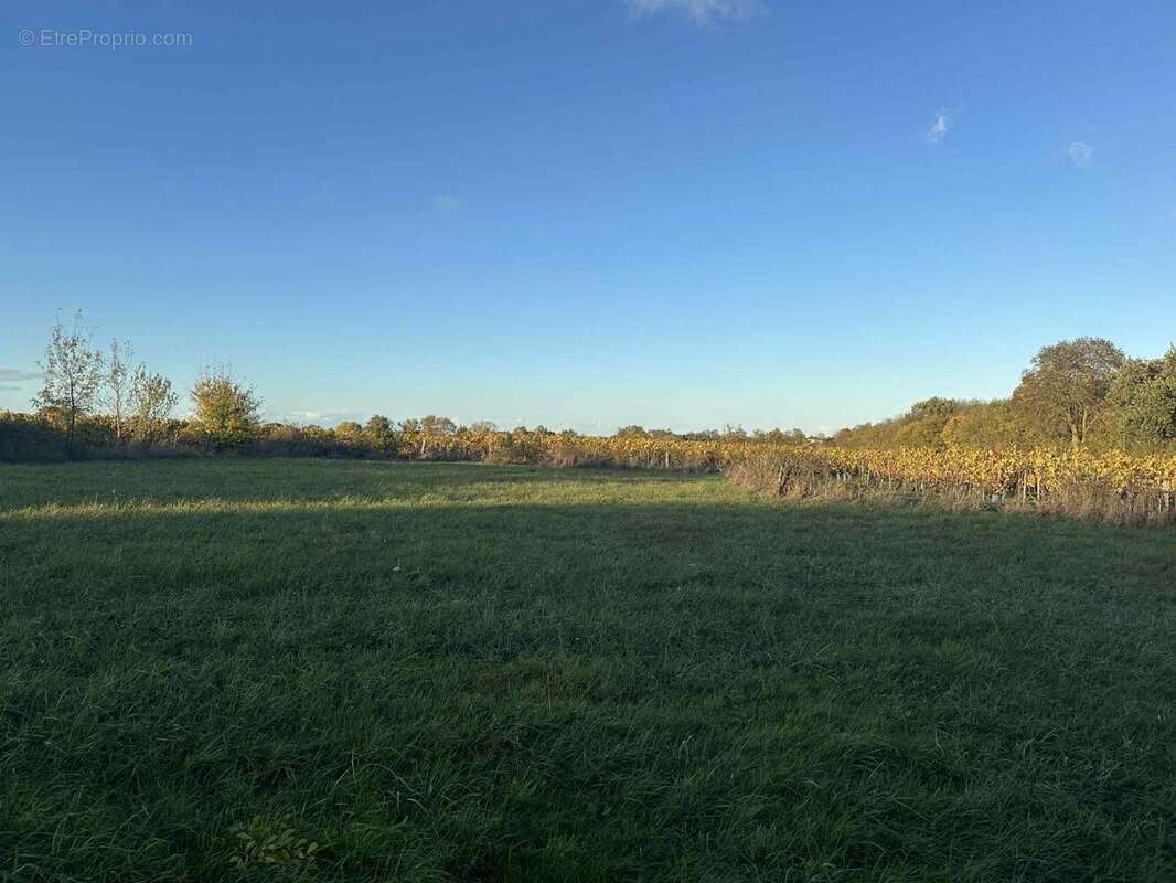 Maison à SAINT-LAMBERT-DU-LATTAY