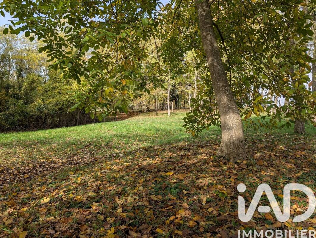 Photo 1 - Terrain à DOMFRONT-EN-CHAMPAGNE