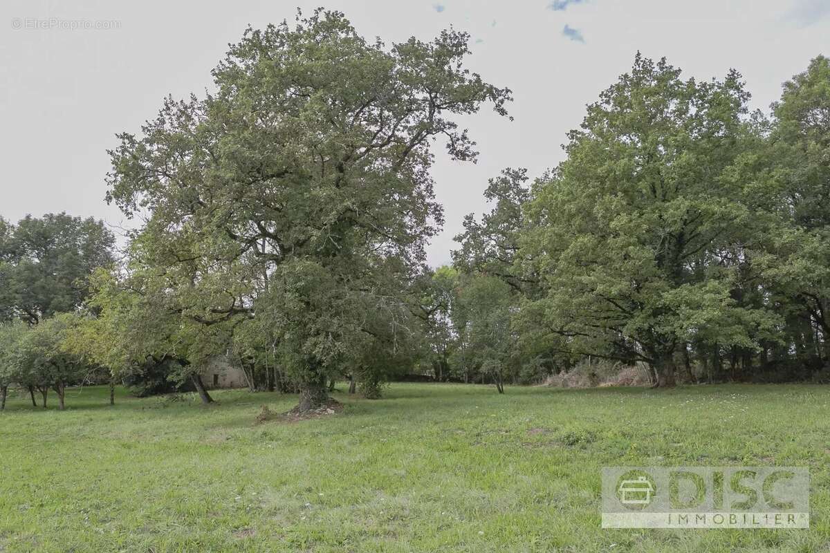 Charmant Corps de ferme avec spacieuse grange, appartement indépendant et un hectare de terrain - photo 22