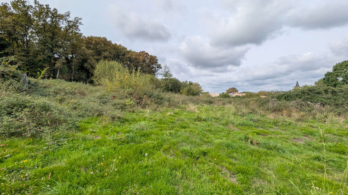 Terrain à MONT-DE-MARSAN