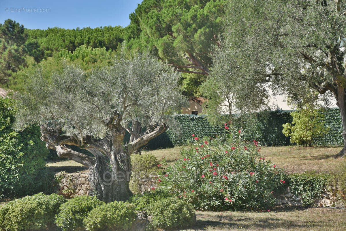 Maison 196 m² à Valbonne  - photo 9