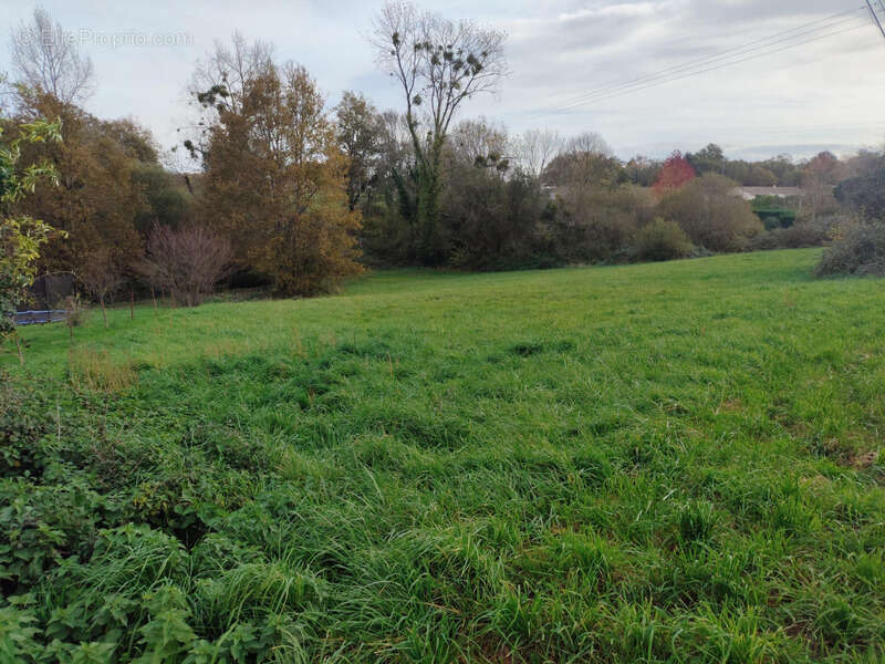 Terrain constructible 4714m2 Le Tâtre (16360) - photo 2