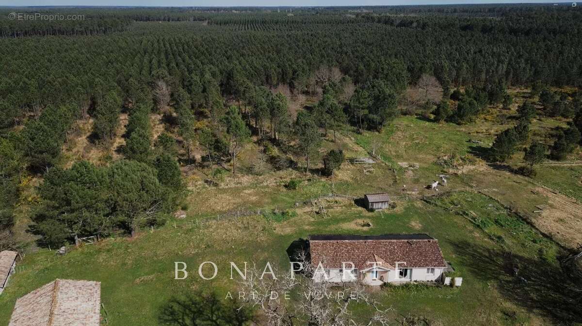 Le temple - propriete de 18 hectares a 10 minutes des plages oceanes et 30 minutes de bordeaux - photo 3