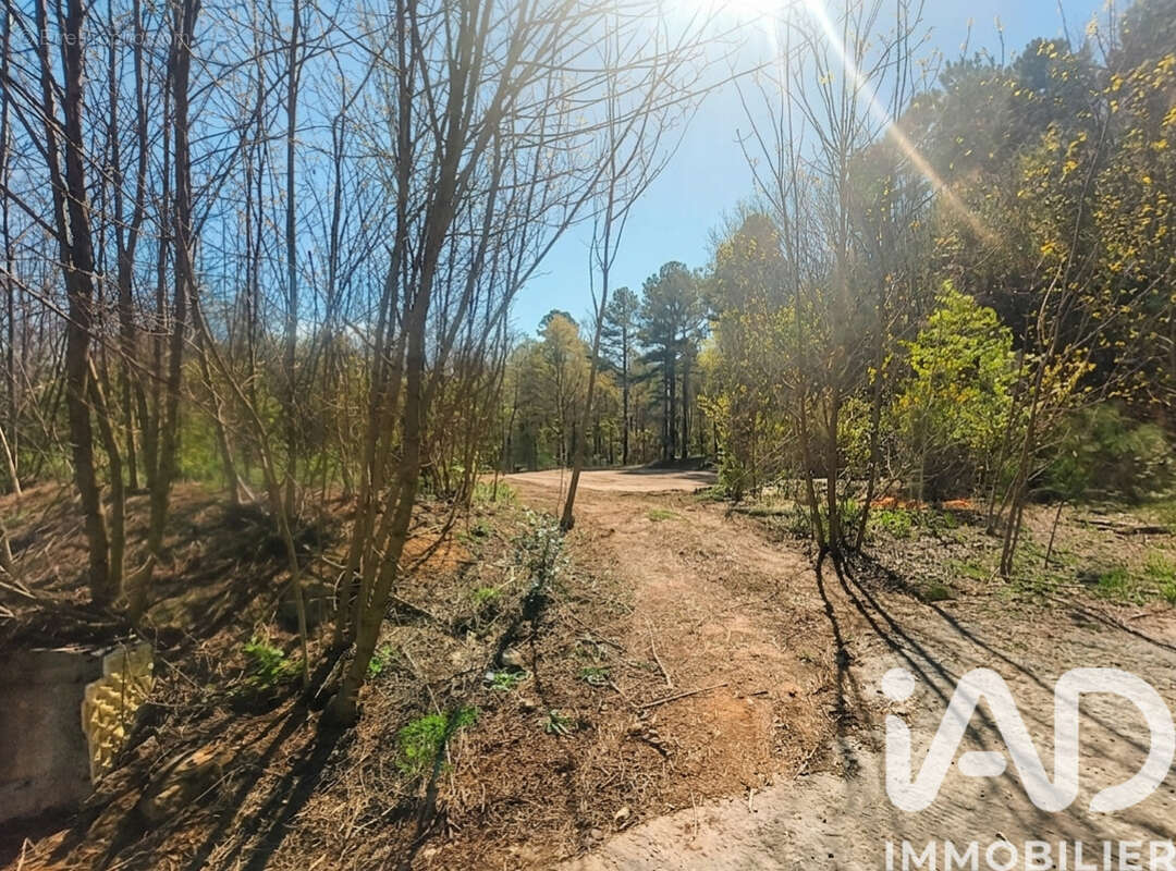 Photo 3 - Terrain à CHAMBONAS