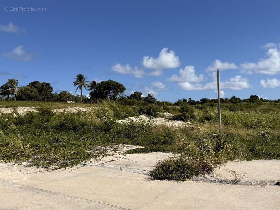 Terrain à PETIT-CANAL
