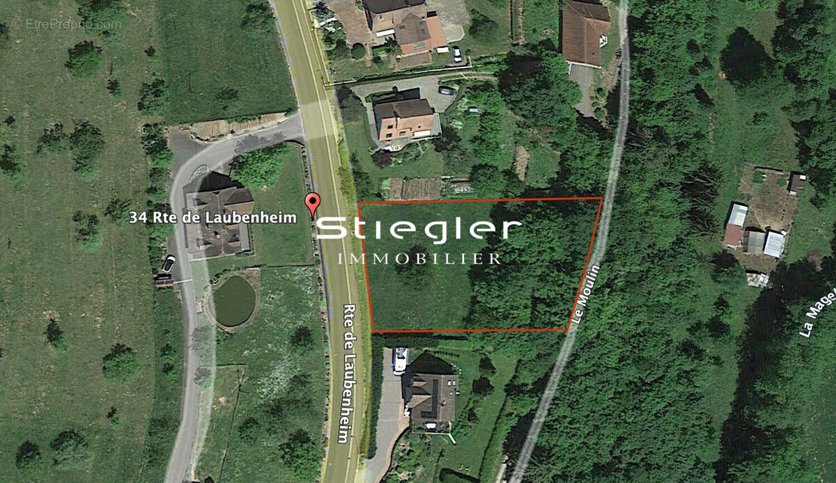 Terrain à MOLLKIRCH