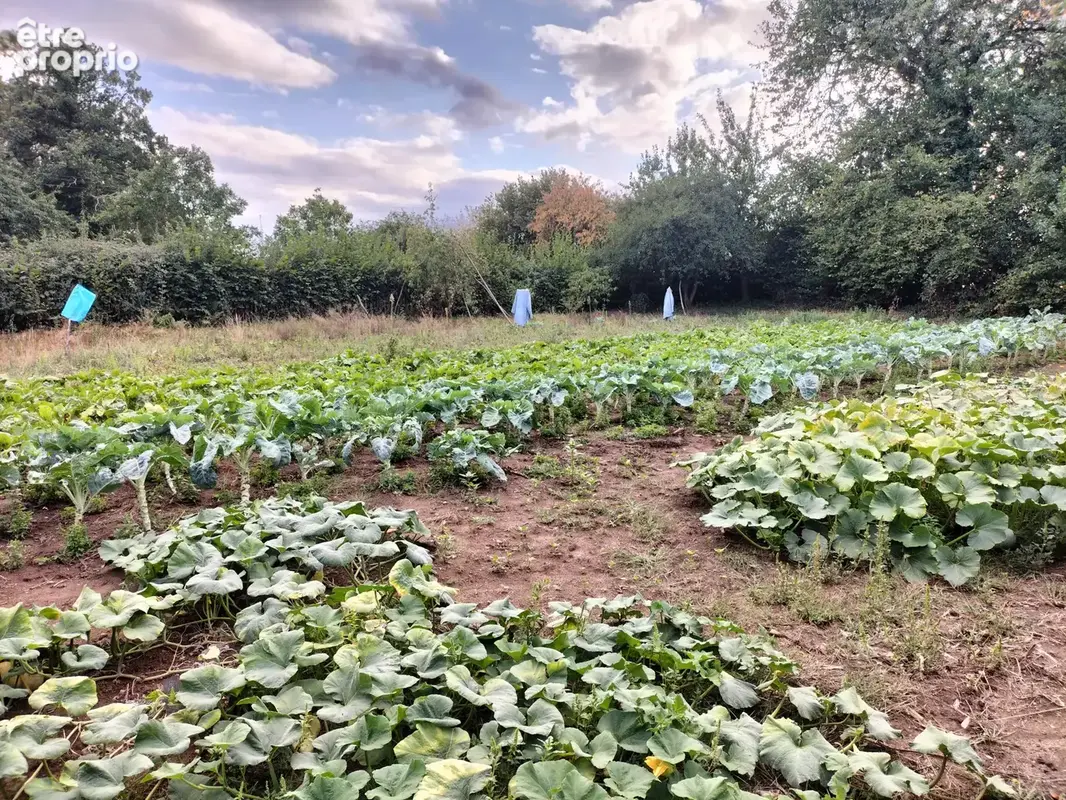 Commune de TRANS, en campagne, une maison en pierres à rénover intégralement. - photo 20