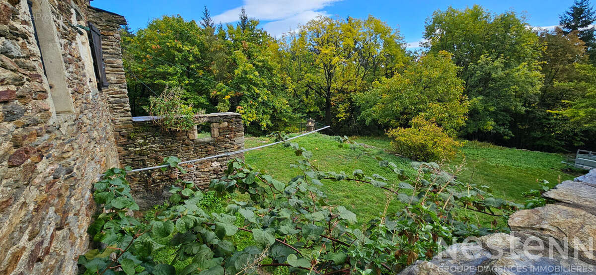 Mas en pierre avec 1,6 hectare de terrain, dépendance et source ? Havre de paix en Cévennes - photo 10