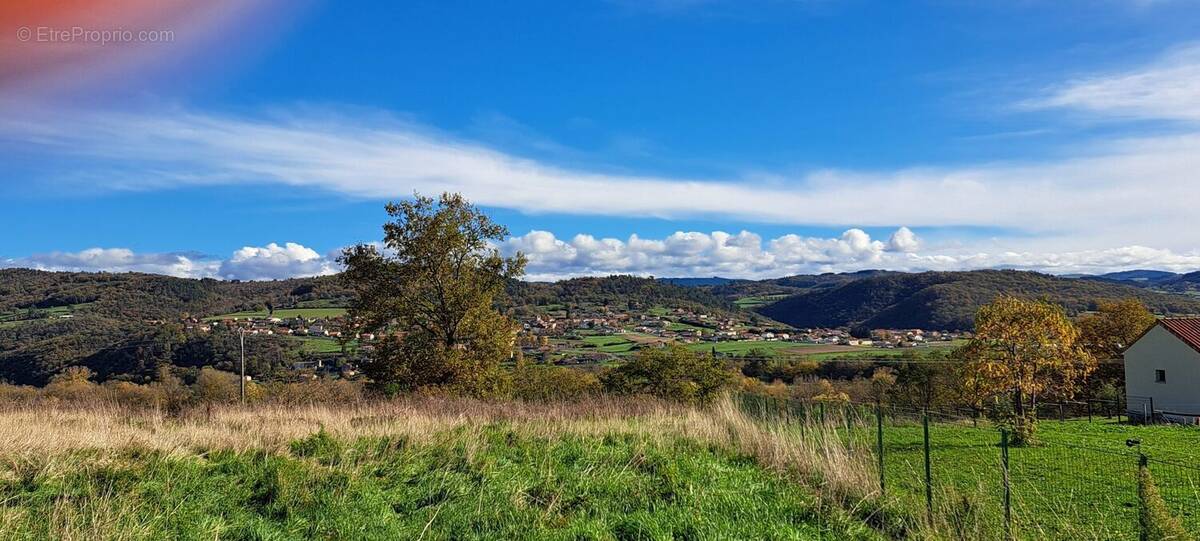 Terrain à SAINTE-FLORINE