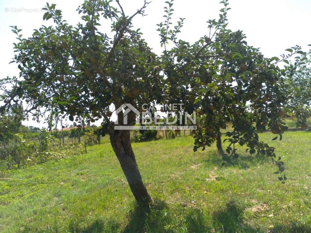 Maison à SAINT-TROJAN