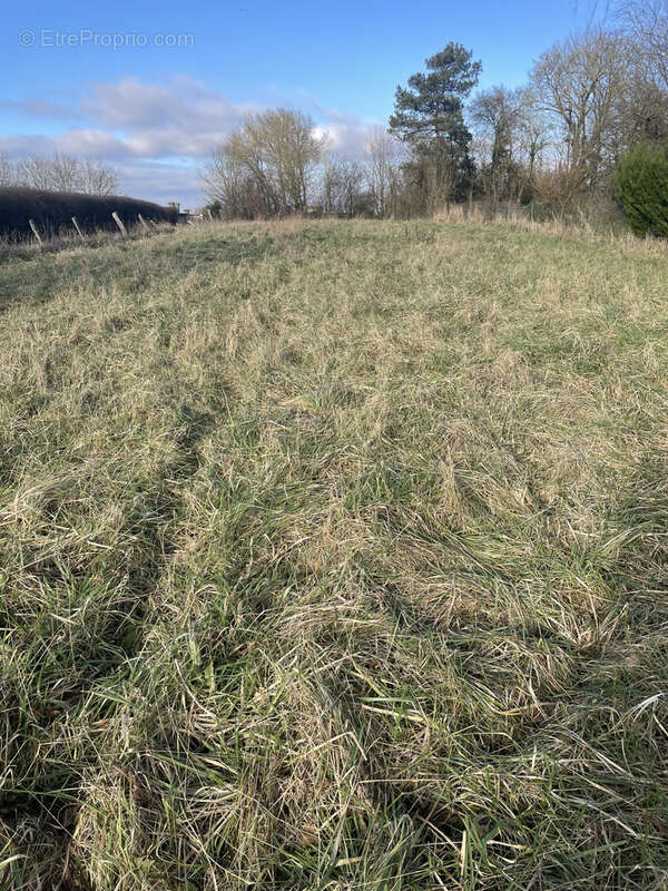 Terrain à BROUSSEY-RAULECOURT