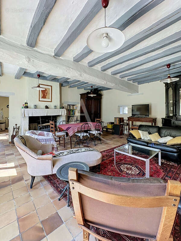 Propriété  avec moulin,  Charme et potentiel exceptionnel - photo 4