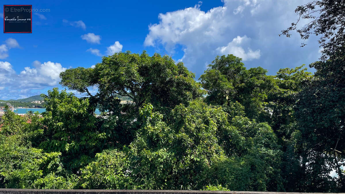 Terrain de 1 194 m2 en vente à Trinité - photo 6