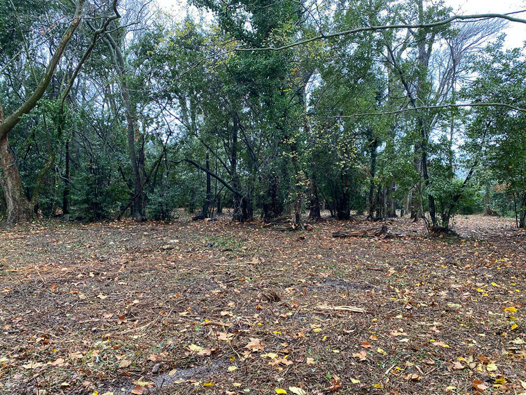 Terrain à LE SOLER