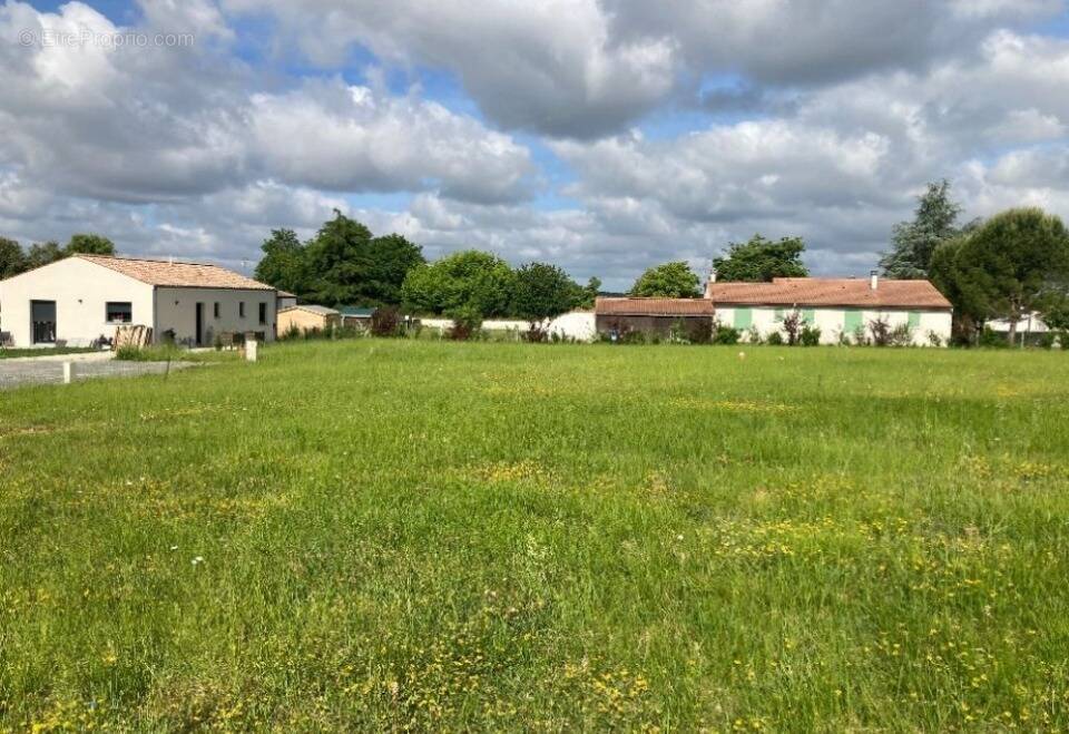 Terrain à SAINT-VAIZE
