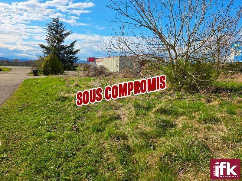 Commerce à ANDOLSHEIM