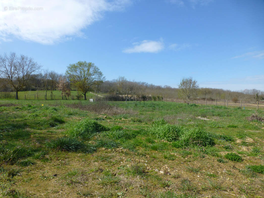Terrain à EAUNES