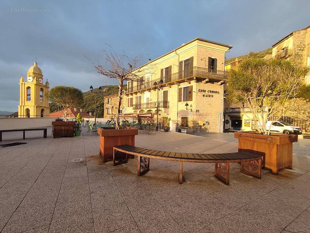 Appartement à OLMETO