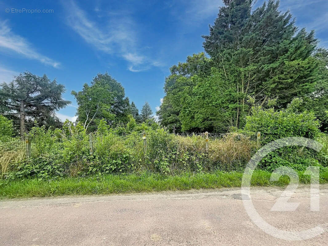 Terrain 12169 m² à Villeneuve-Sur-Yonne  - photo 4