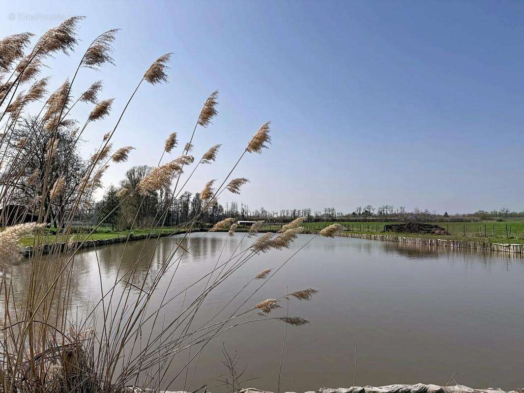 Maison à HERBITZHEIM