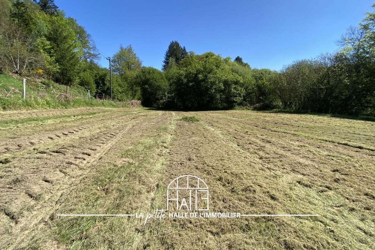 Terrain à BONNAC-LA-COTE