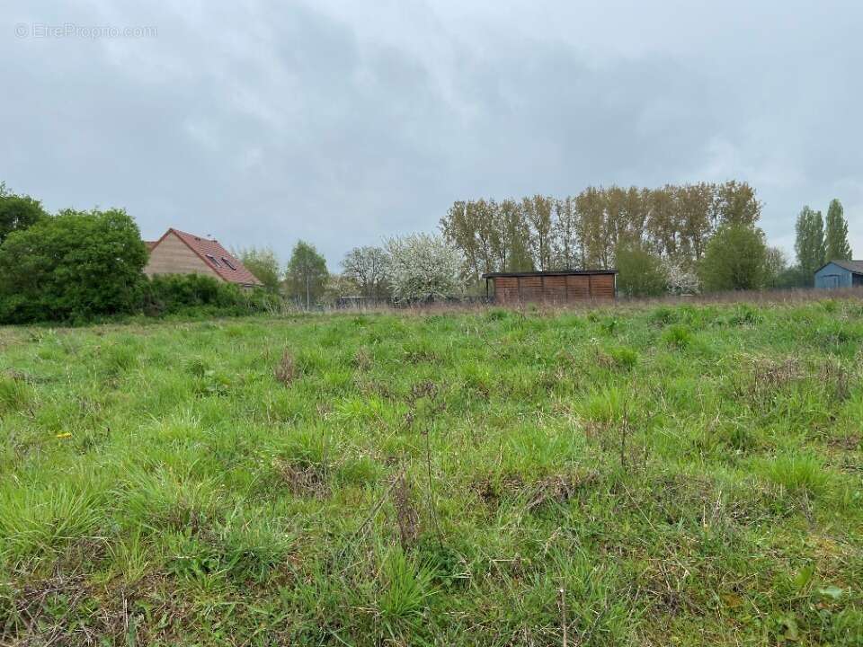 Terrain à BAILLEUL-SIR-BERTHOULT