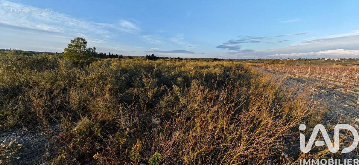 Photo 2 - Terrain à LA PALME