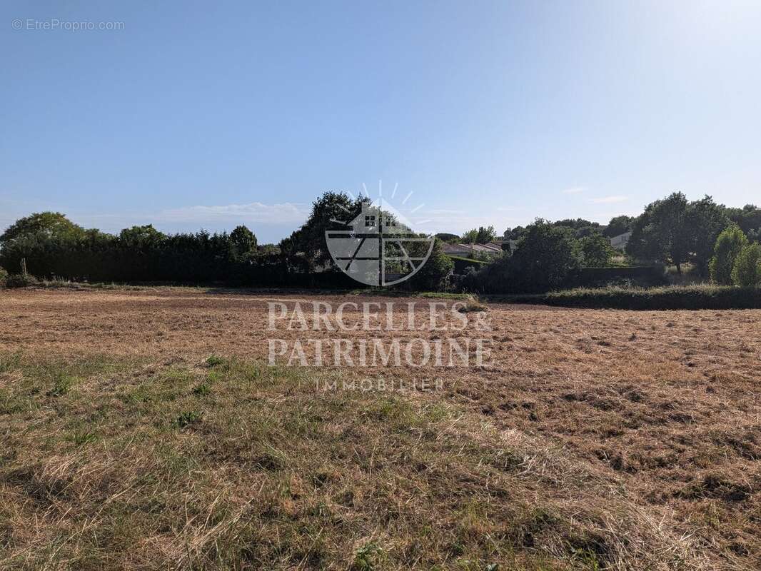 EXCLUSIVITÉ À BÉRAT  Terrain viabilisé de 738 m² dans le lotissement "La Clef des Champs" - photo 5