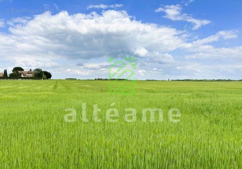 Terrain à LE VIEIL-EVREUX