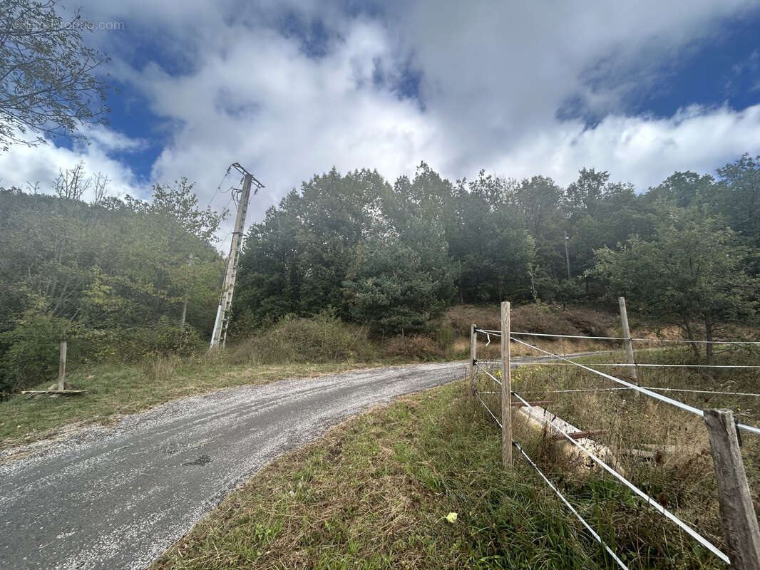 Terrain à PRATS-DE-MOLLO-LA-PRESTE