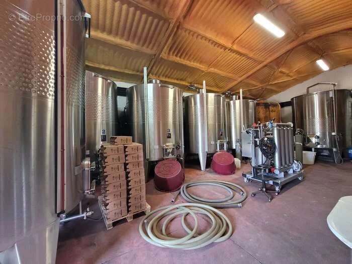 Domaine viticole bio près de Cordes-sur-Ciel - photo 8