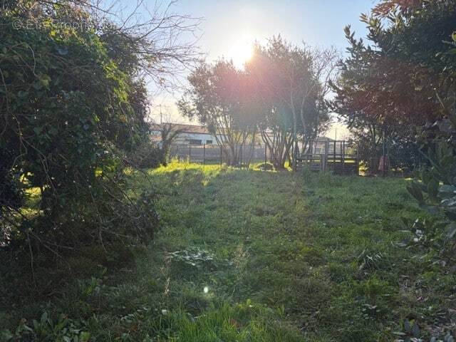 Terrain à SAINT-FROULT