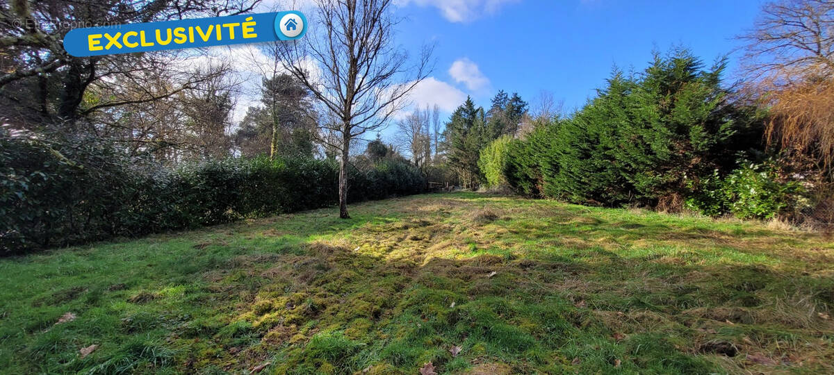 Terrain à VANNES-SUR-COSSON