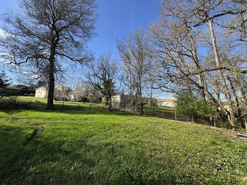Opportunité rare à Saint Jean. Grande maison familiale de plus de 220 m2 habitable avec un demi sous-sol sur u - photo 10