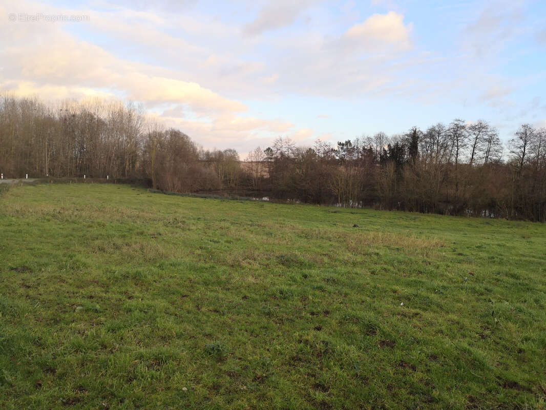 Terrain à SAINTE-CECILE