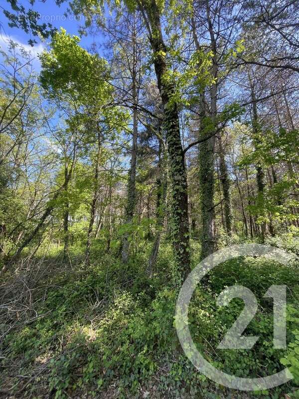 Terrain à MONTAUBAN