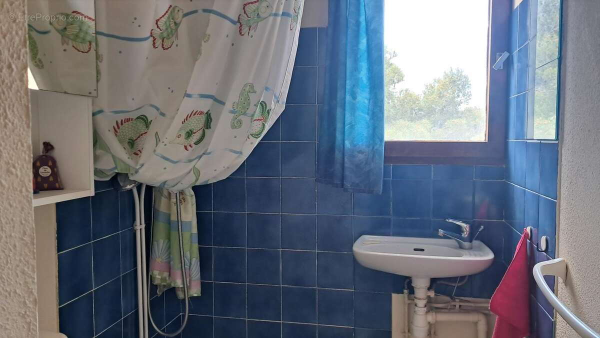 Appartement à FLEURY