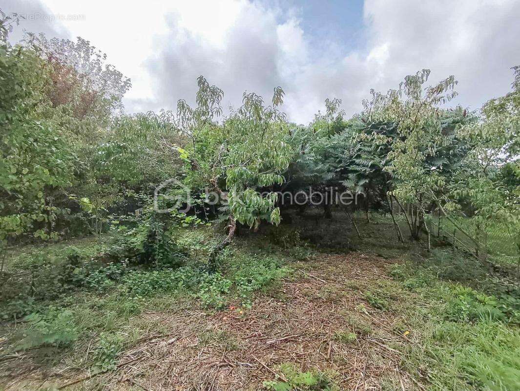 Maison à OUZOUER-SUR-LOIRE