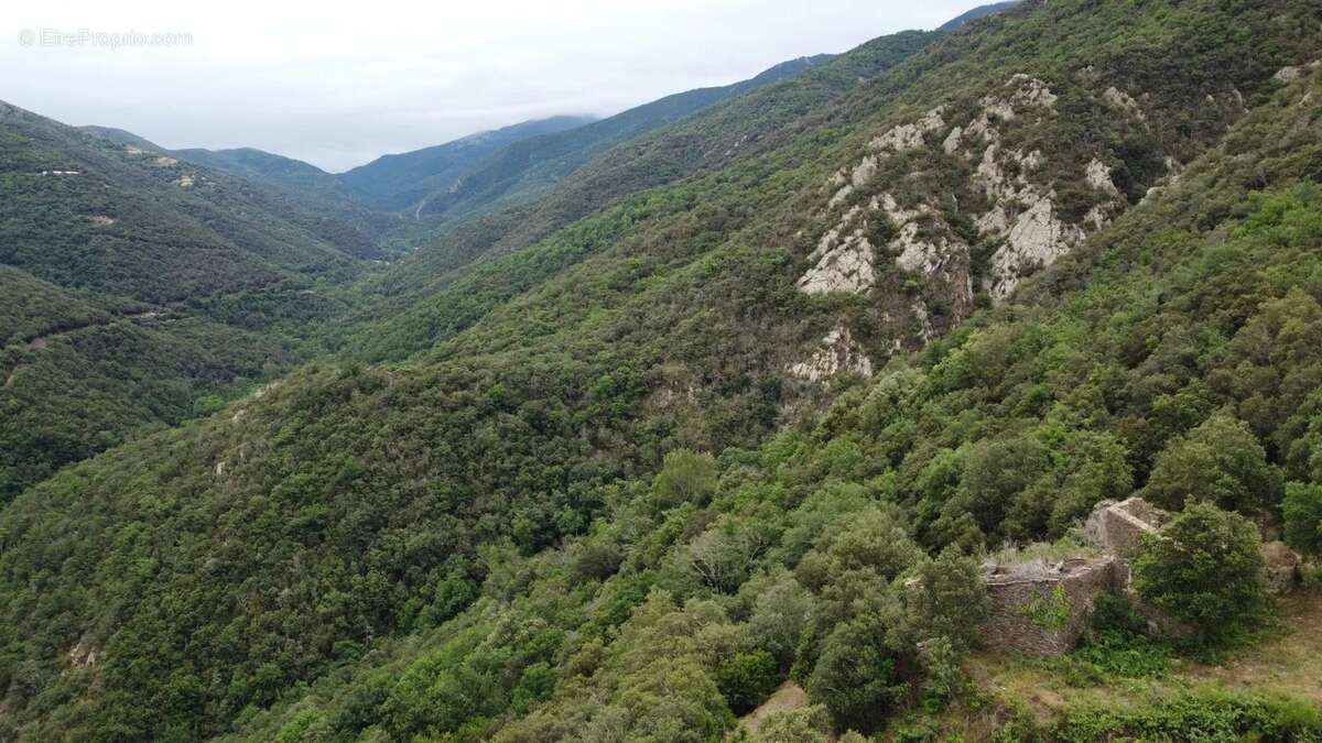 Terrain à BAILLESTAVY