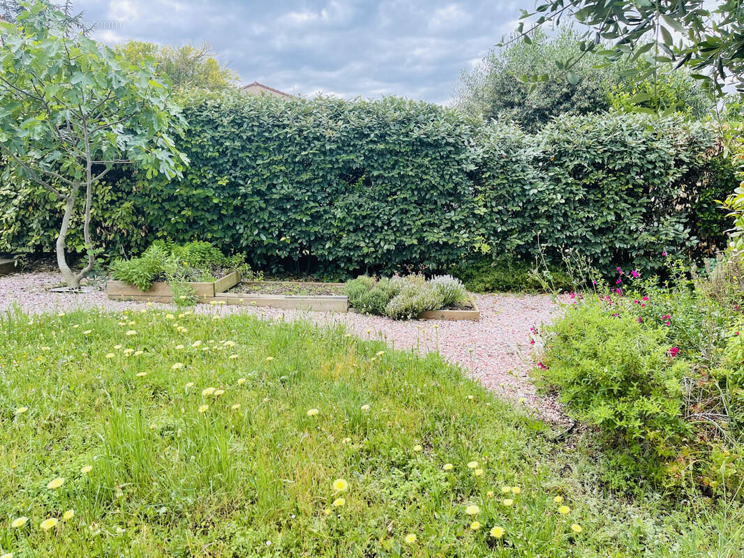 Maison à CARCASSONNE