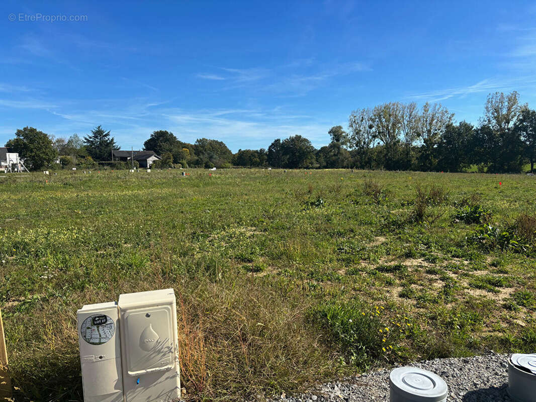Terrain à SAINT-MARS-DU-DESERT
