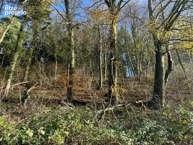 Terrain 8471 m² à La Vespiere  - photo 6