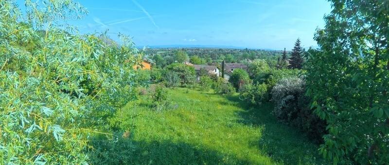 Terrain à SAINT-NAZAIRE-EN-ROYANS