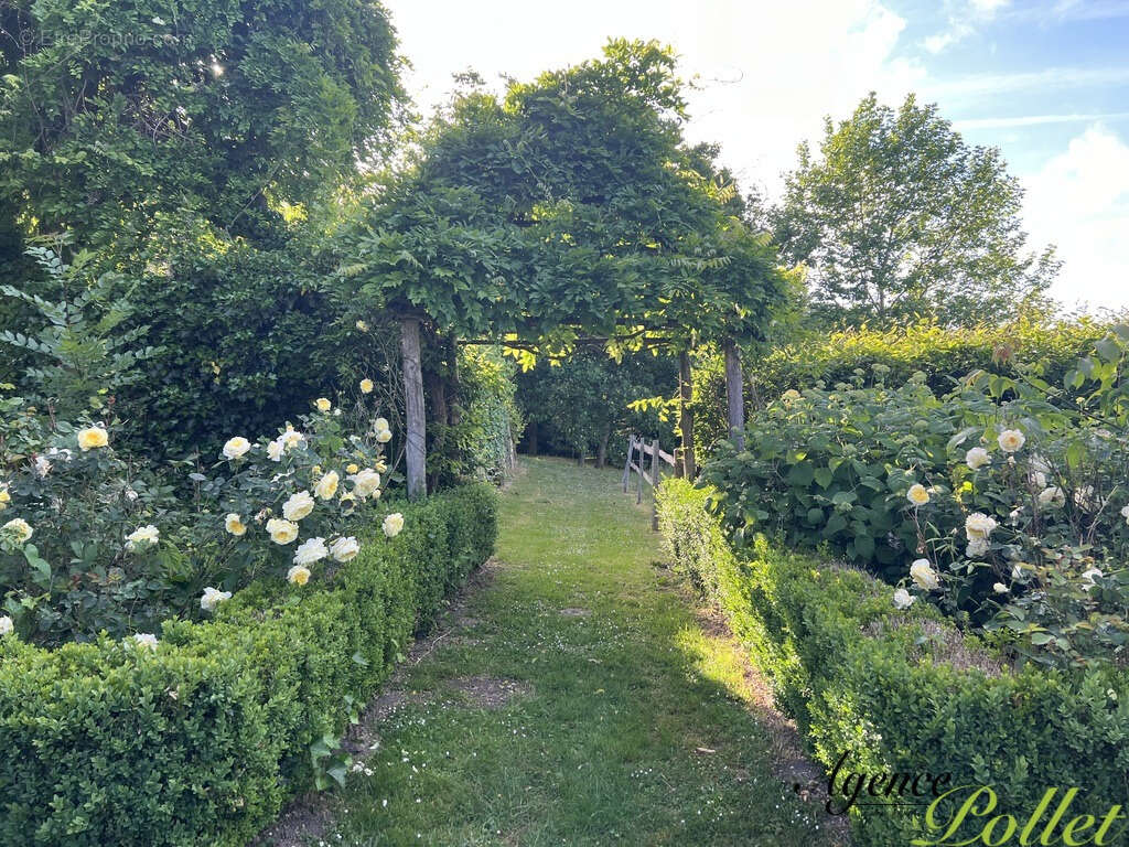 Maison à SANCERRE