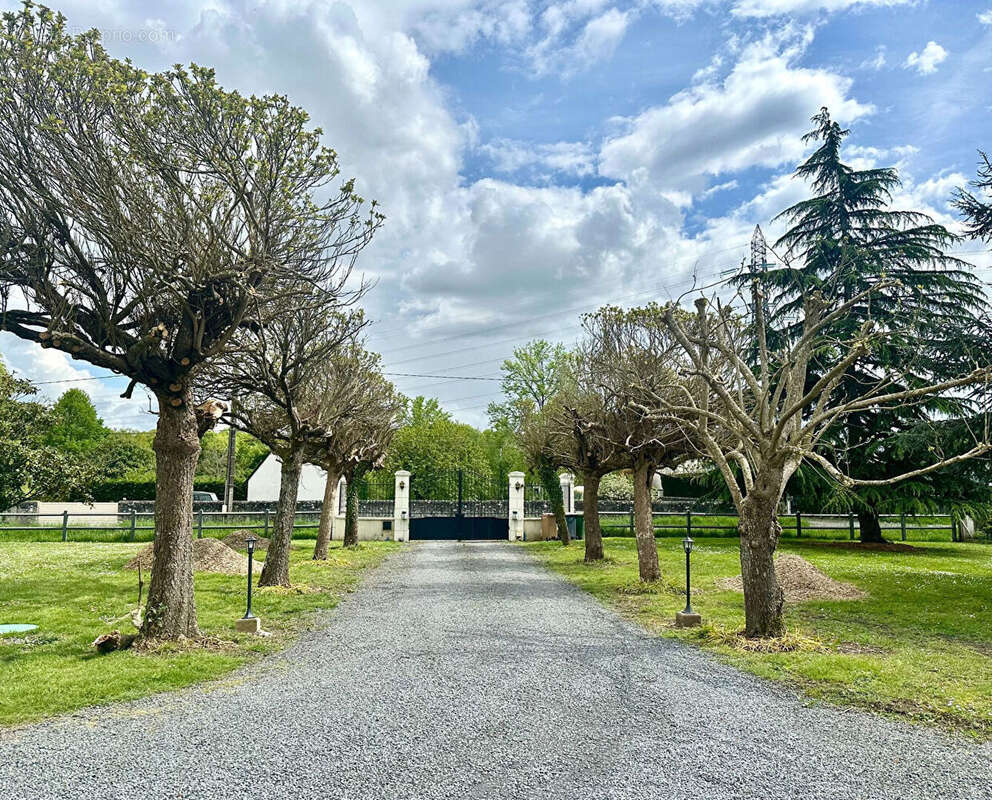 Autre à JOUE-LES-TOURS