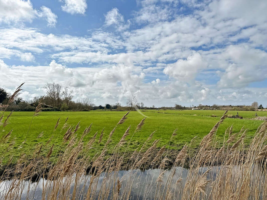 Maison à LE PERRIER
