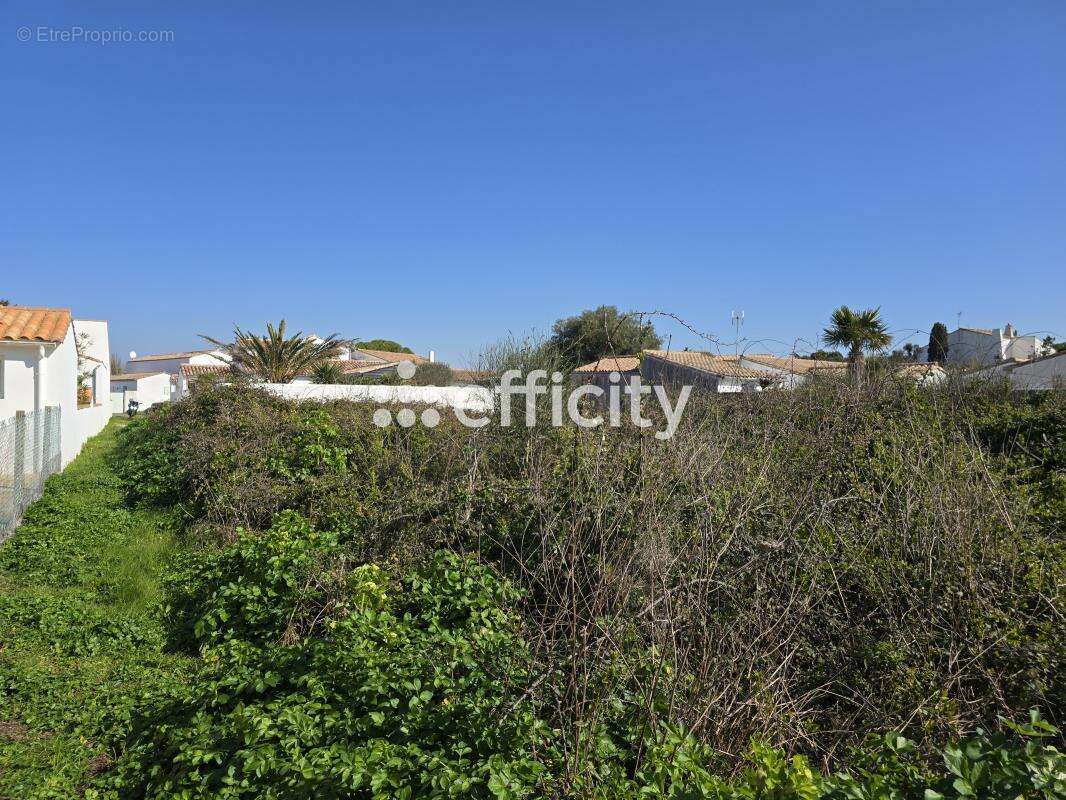Terrain à RIVEDOUX-PLAGE