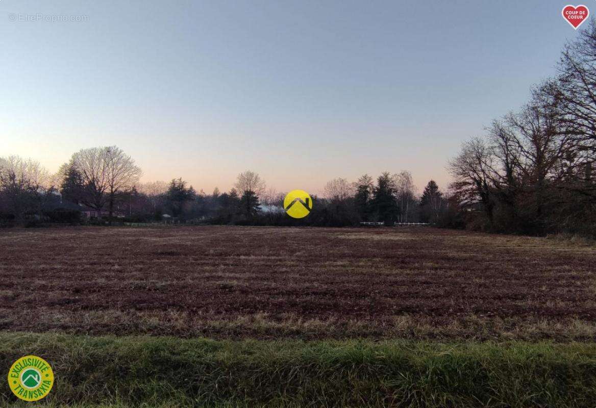 Terrain à LA GUERCHE-SUR-L&#039;AUBOIS